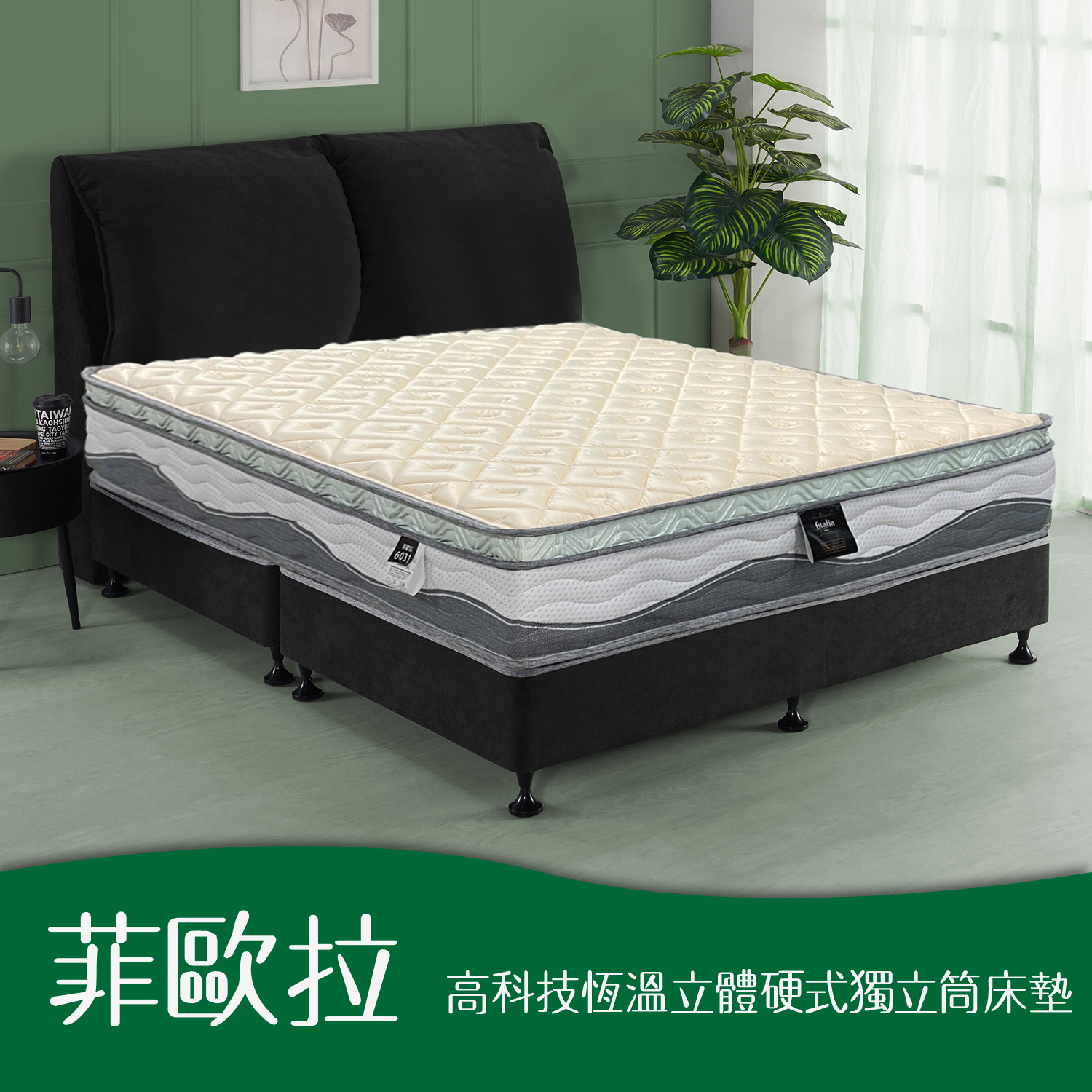 菲歐拉<br>軟○○○○●○○硬