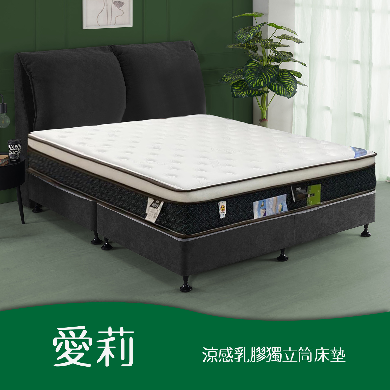 愛莉<br>軟○○○●○○○硬