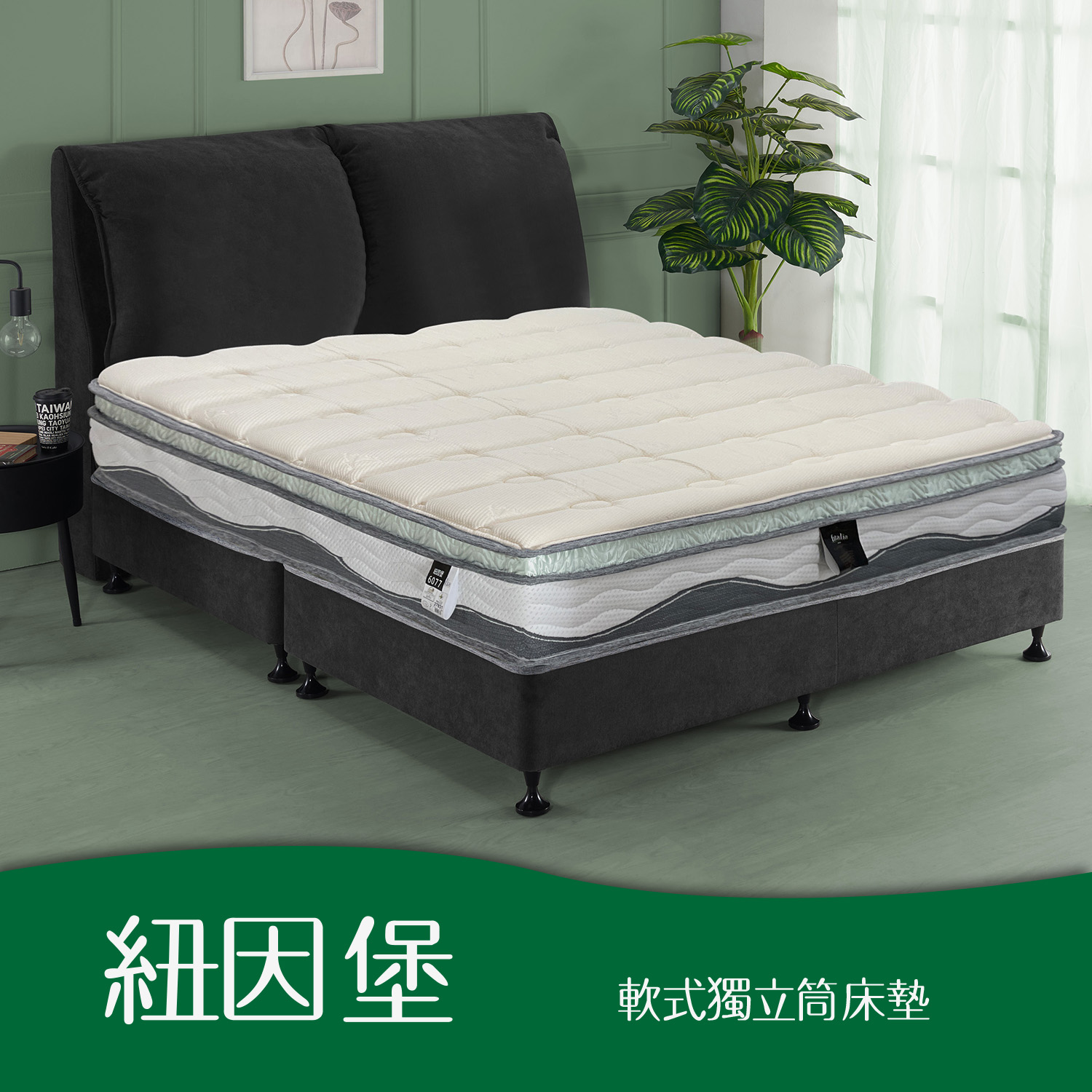 紐因堡<br>軟●○○○○○○硬